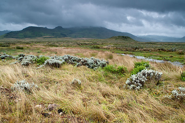 Aethiopien (Ethiopia)