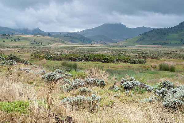 Aethiopien (Ethiopia)