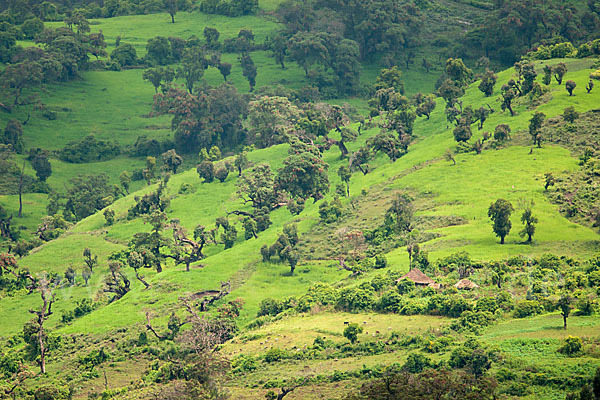 Aethiopien (Ethiopia)