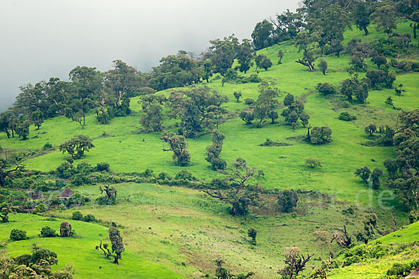 Aethiopien (Ethiopia)