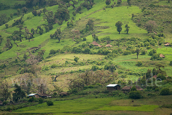 Aethiopien (Ethiopia)