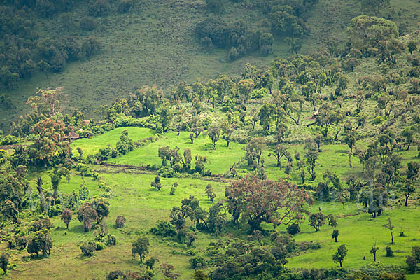 Aethiopien (Ethiopia)