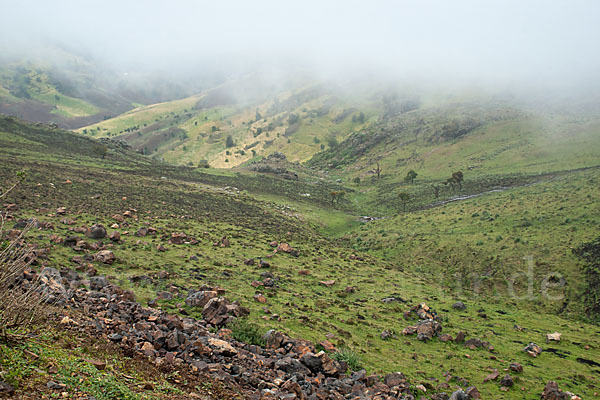 Aethiopien (Ethiopia)