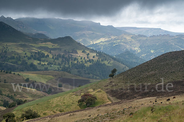 Aethiopien (Ethiopia)