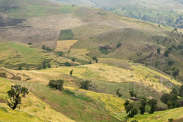 Aethiopien (Ethiopia)