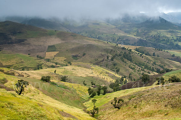 Aethiopien (Ethiopia)