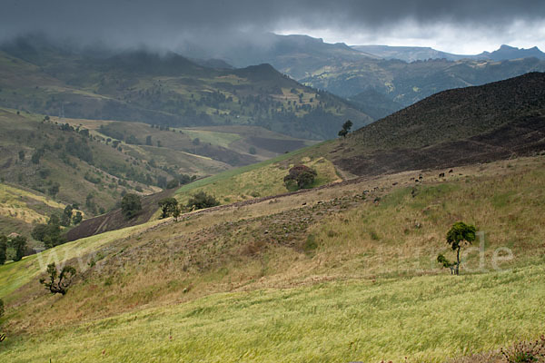 Aethiopien (Ethiopia)