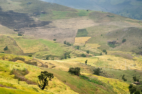 Aethiopien (Ethiopia)