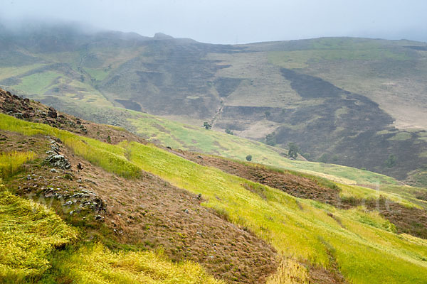 Aethiopien (Ethiopia)