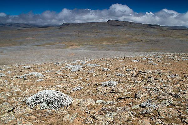 Aethiopien (Ethiopia)