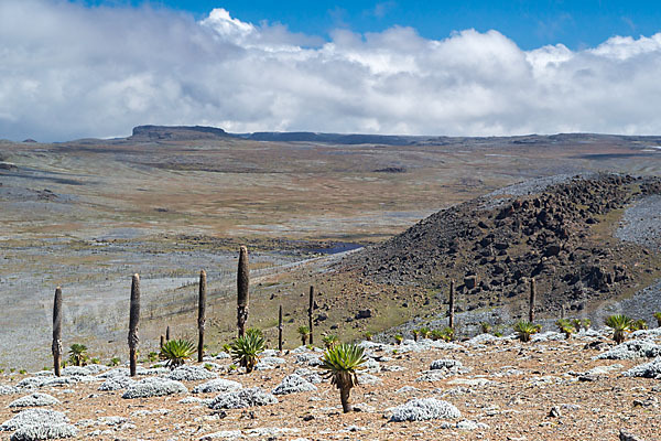 Aethiopien (Ethiopia)