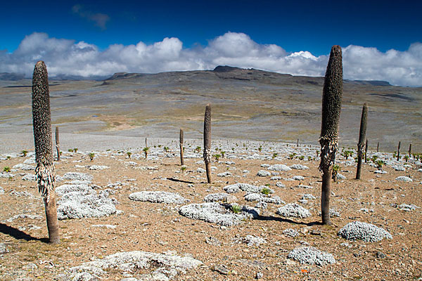 Aethiopien (Ethiopia)