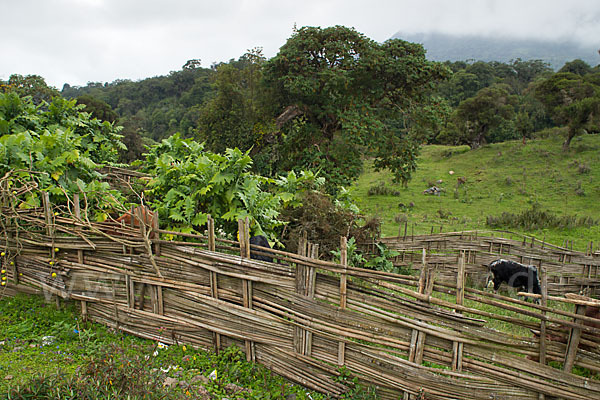 Aethiopien (Ethiopia)