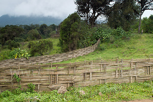 Aethiopien (Ethiopia)