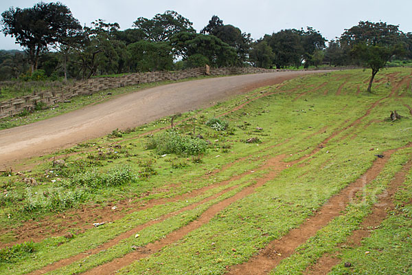 Aethiopien (Ethiopia)