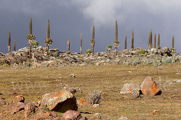 Aethiopien (Ethiopia)