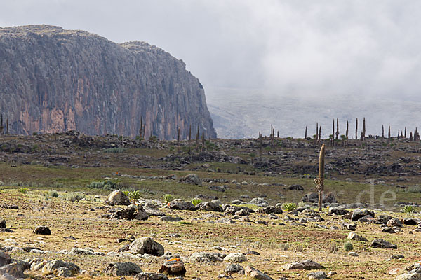 Aethiopien (Ethiopia)