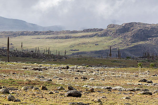 Aethiopien (Ethiopia)