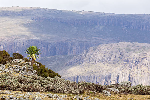 Aethiopien (Ethiopia)