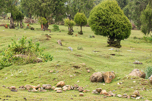 Aethiopien (Ethiopia)