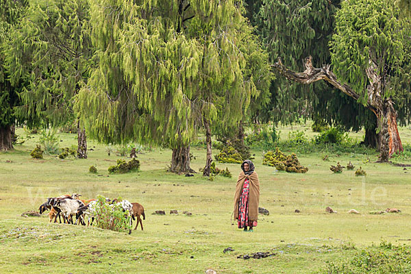 Aethiopien (Ethiopia)