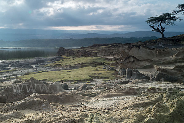 Aethiopien (Ethiopia)