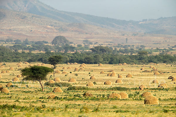 Aethiopien (Ethiopia)