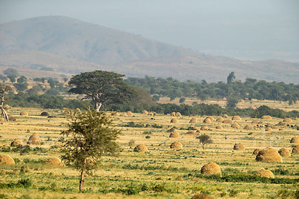 Aethiopien (Ethiopia)