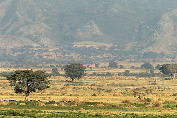 Aethiopien (Ethiopia)