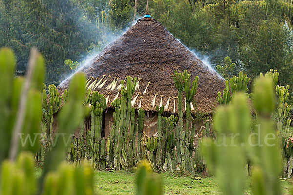 Aethiopien (Ethiopia)