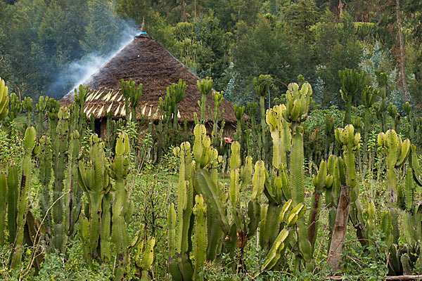 Aethiopien (Ethiopia)