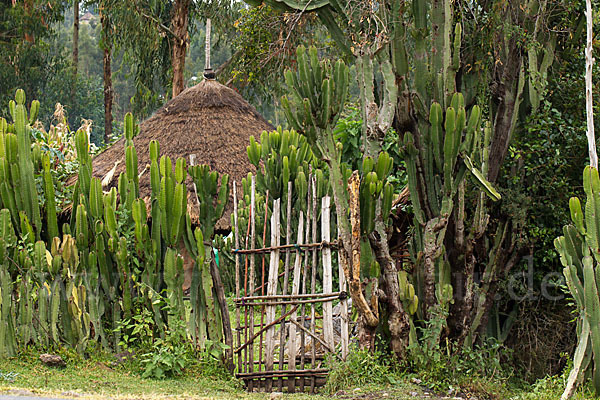 Aethiopien (Ethiopia)