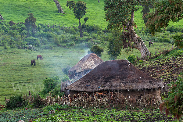 Aethiopien (Ethiopia)