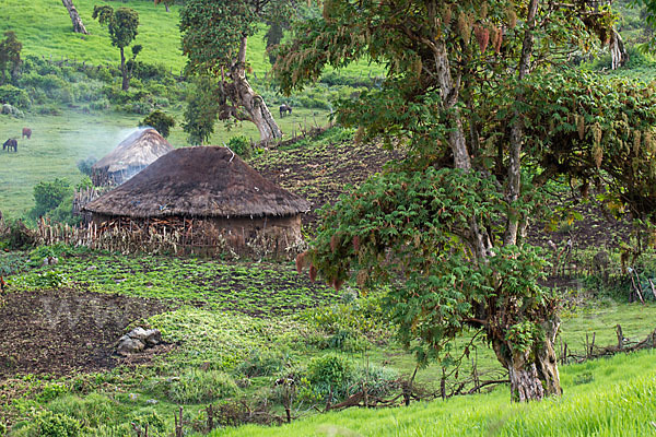 Aethiopien (Ethiopia)