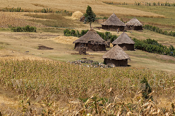 Aethiopien (Ethiopia)