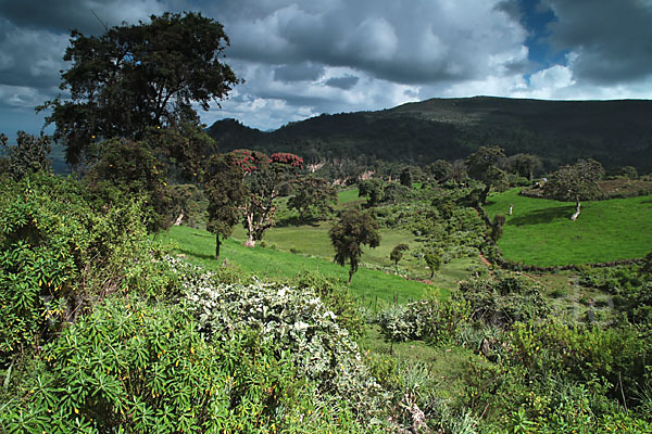 Aethiopien (Ethiopia)