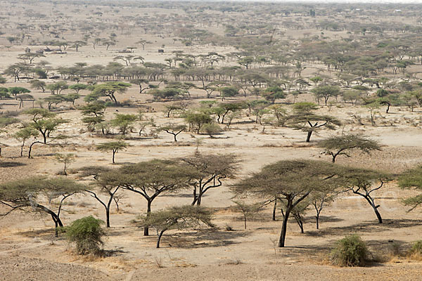 Aethiopien (Ethiopia)