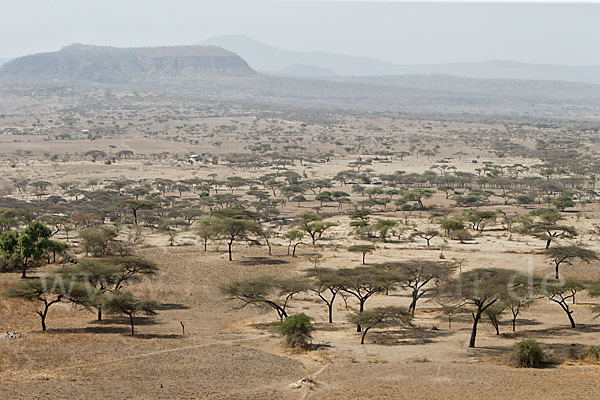 Aethiopien (Ethiopia)