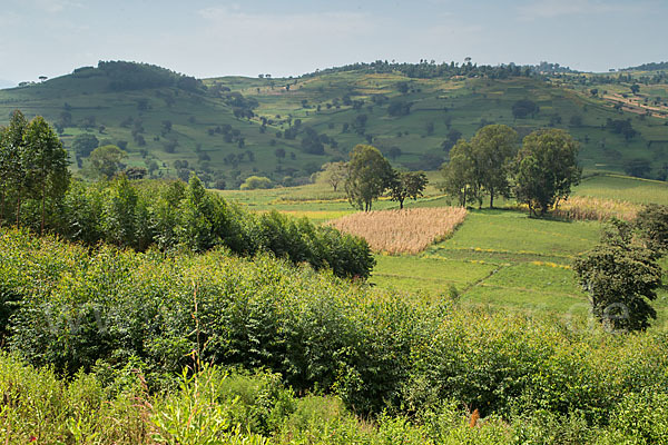 Aethiopien (Ethiopia)