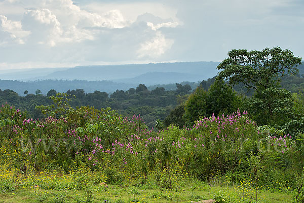 Aethiopien (Ethiopia)