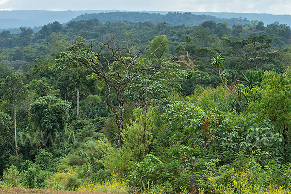 Aethiopien (Ethiopia)