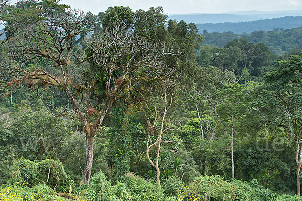 Aethiopien (Ethiopia)