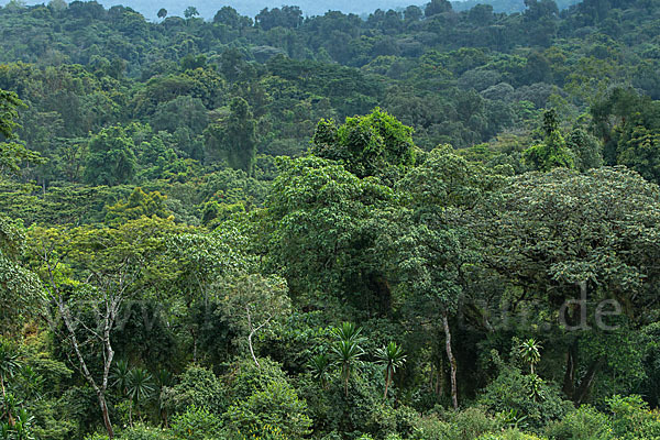 Aethiopien (Ethiopia)