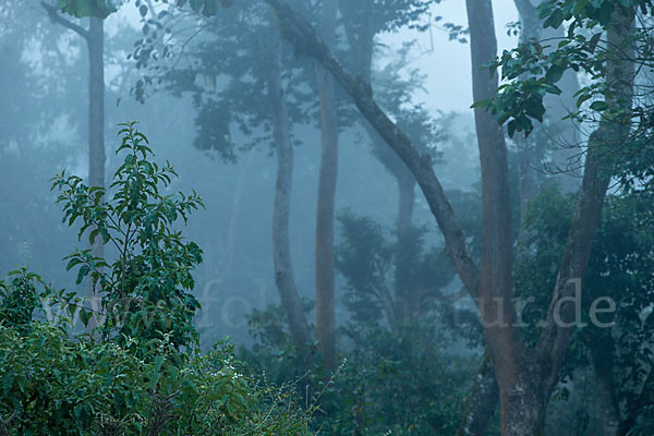 Aethiopien (Ethiopia)