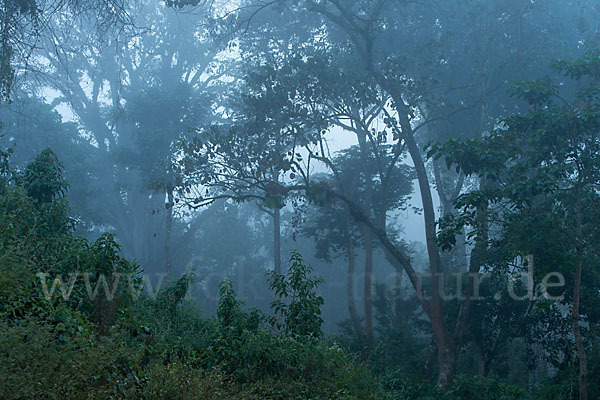 Aethiopien (Ethiopia)