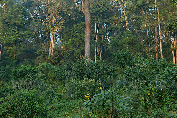 Aethiopien (Ethiopia)