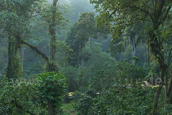 Aethiopien (Ethiopia)