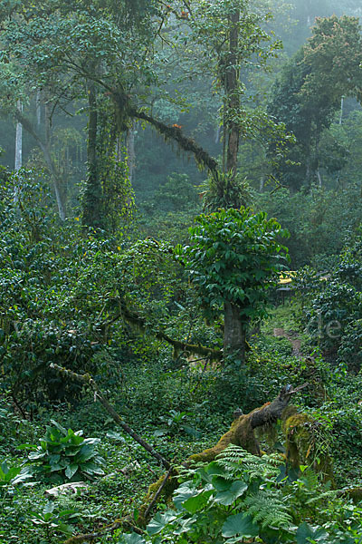 Aethiopien (Ethiopia)