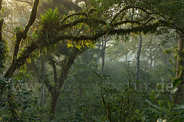 Aethiopien (Ethiopia)