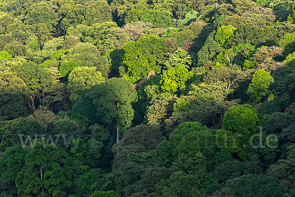 Aethiopien (Ethiopia)